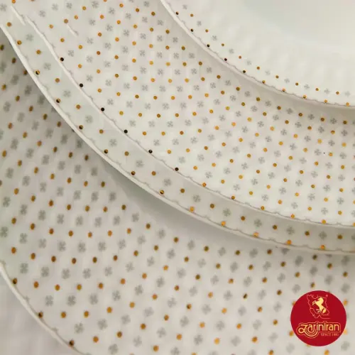 خرید سرویس غذاخوری چینی زرین رادیانس طرح لیون 6 نفره