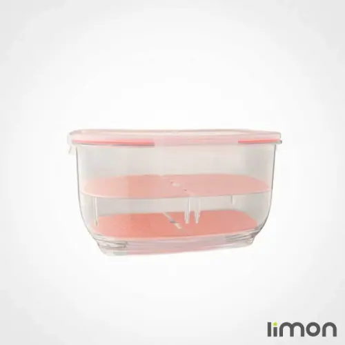 باکس میوه کوچک لیمون