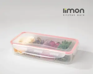 ظرف فریزری مستطیل چهار خانه لیمون