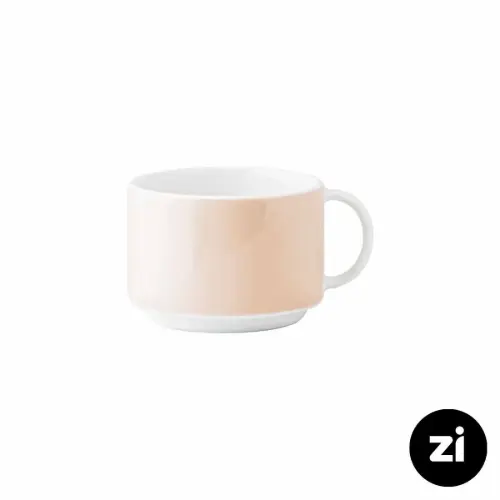فنجان چایخوری چینی زرین فرم اس پاستل گلبهی سایز 8