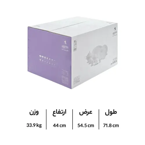 بسته بندی سرویس چینی والندورفر Wallendorfer نئوکلاسیک سورن طلایی 12 نفره