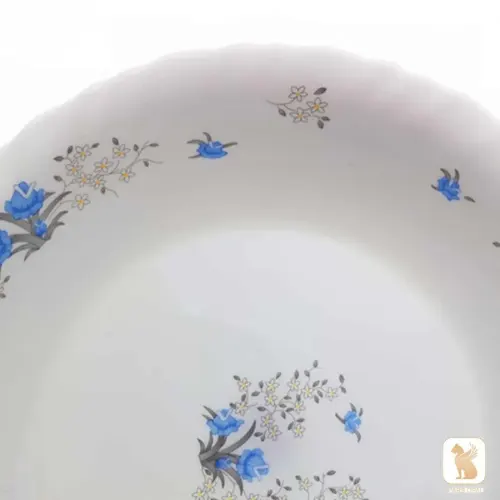 دیس گود 1030 پارس اپال طرح رمانتیک 120