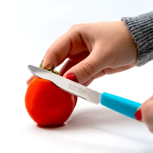 چاقو آشپزخانه مناسب برای مصارف روزمره