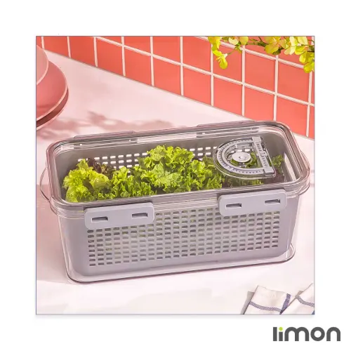 نظم دهنده یخچال