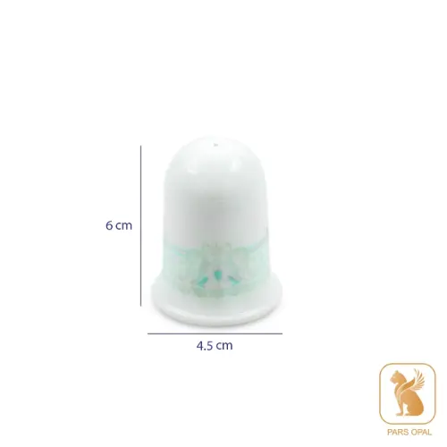 سرویس پارس اپال